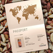 Experience the Rich Flavor of Brazil Nuts: Nutritious & Direct from Brazil