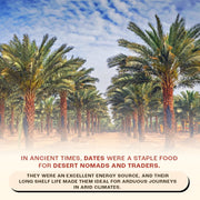 Celebrating the Timeless Tradition of Dates: A Taste of History in Every Bite