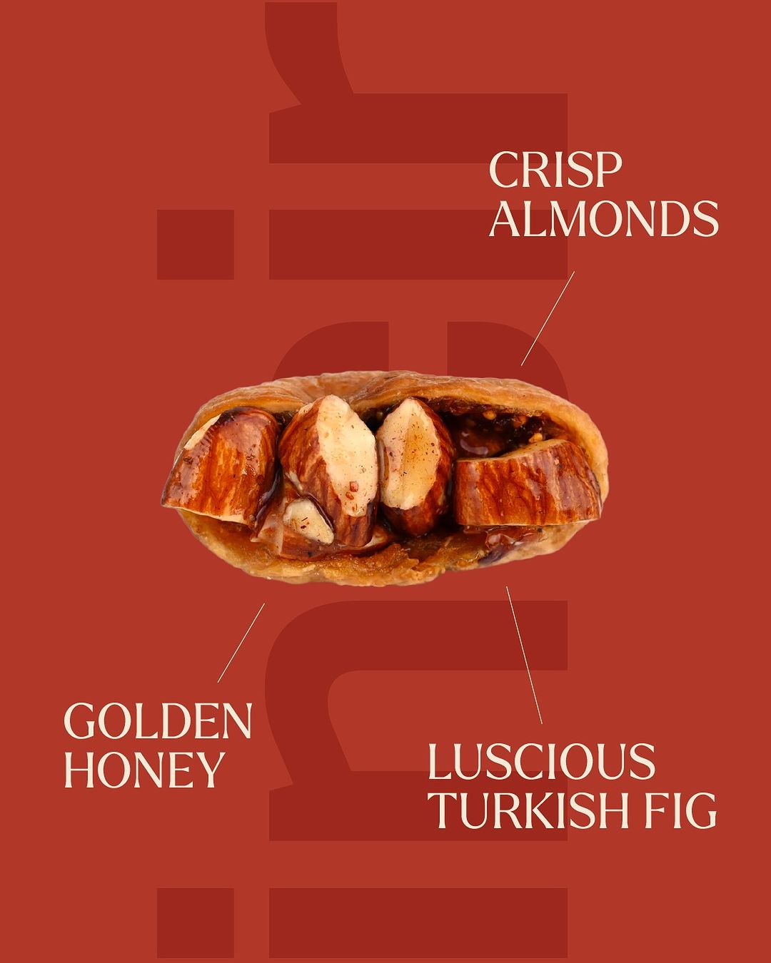 Embracing Nature's Sweet Symphony: The Delight of Fig, Honey, and Almond Bliss